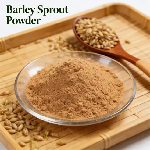 Why Is Barley Sprout Powder Used in Green Food Products?